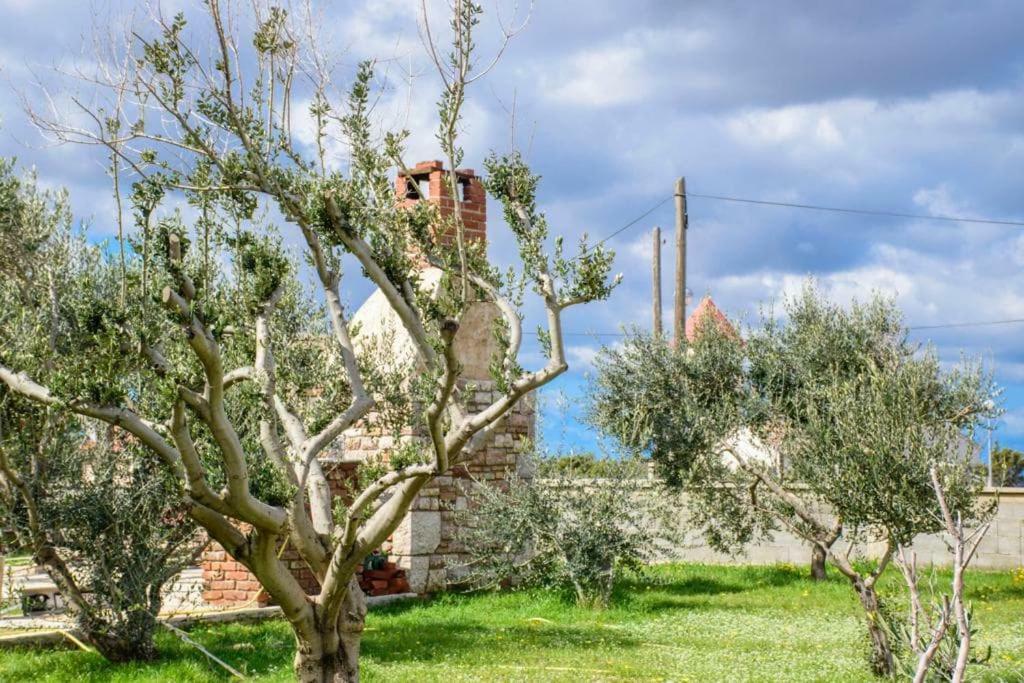 Apartman Space Ražanac Esterno foto